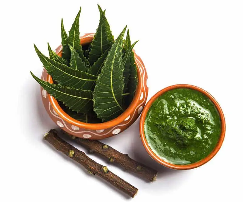 panchakarma medicines